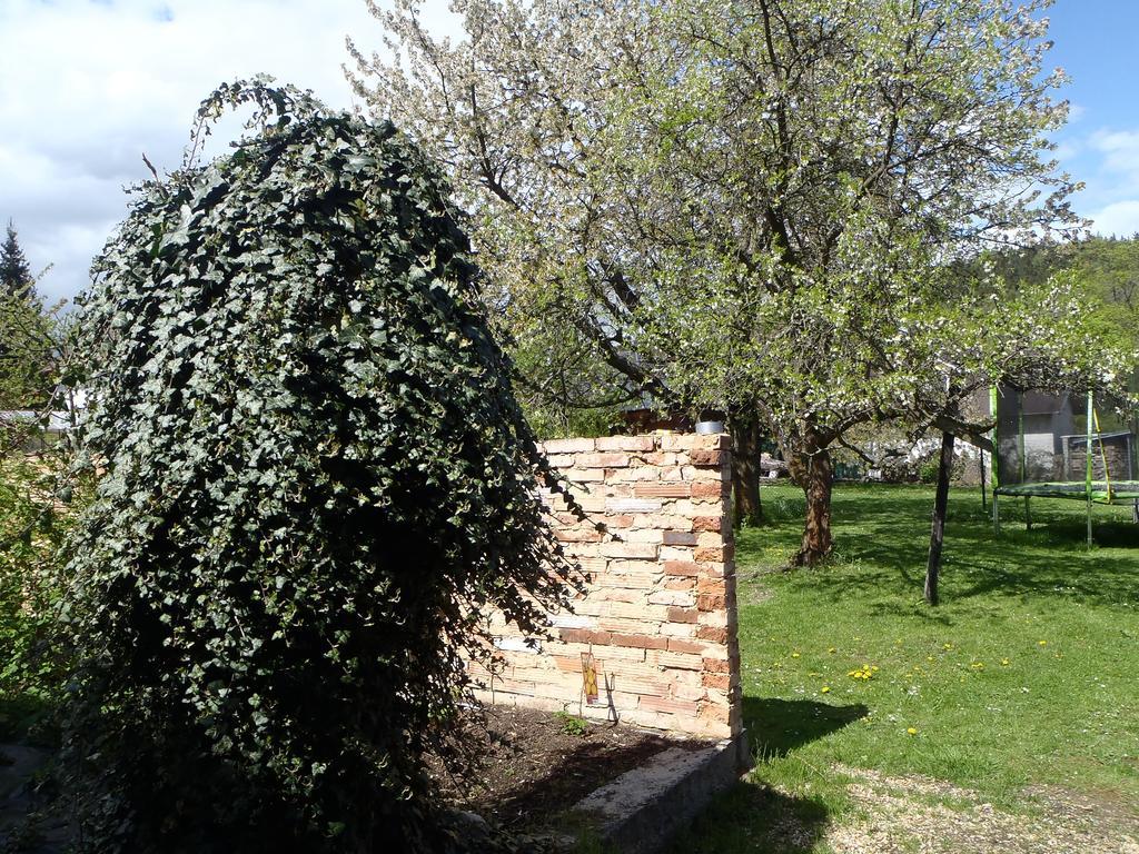 Penzion Villa Marion Marianske Lazne Exterior photo